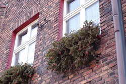 DSC_4655, co jarek orzel.jpg