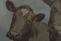 Atom Heart Borthers